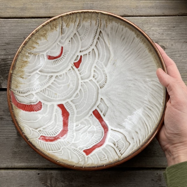 Turkey tail